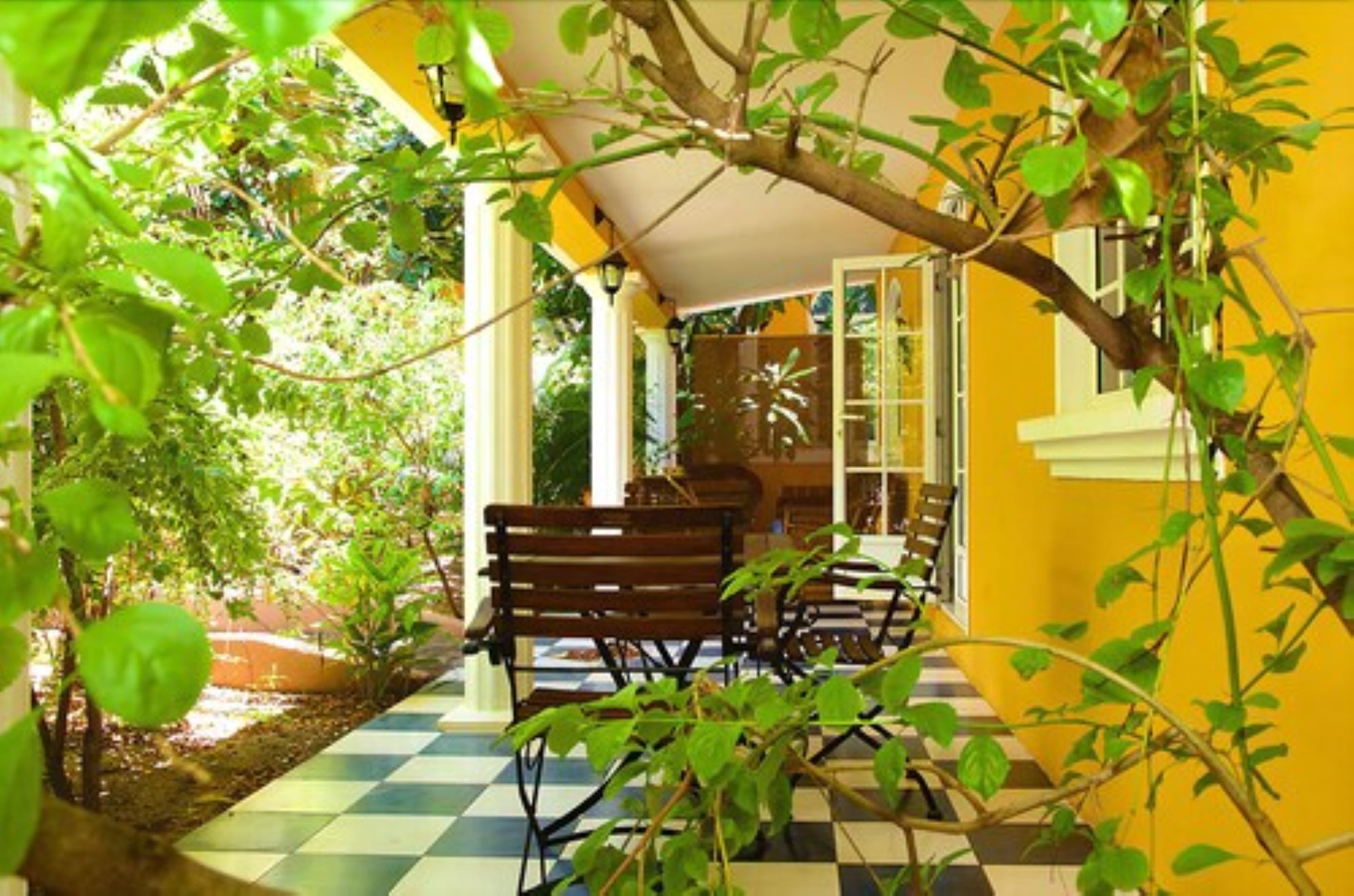 A covered outdoor seating area with a checkered floor, surrounded by greenery and a yellow wall.