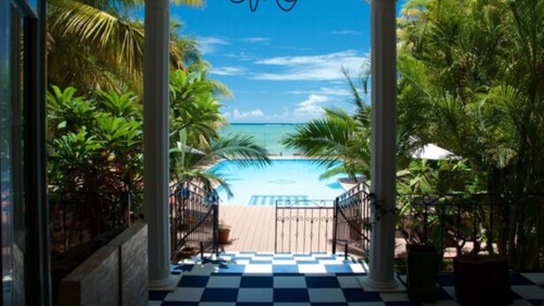 A view from a covered area to a pool with palm trees and a clear sky. - Villa Anakao (Port Louis)