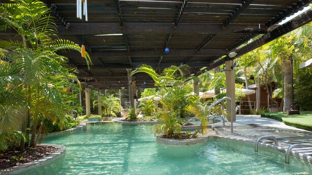 A pool area with a covered section, surrounded by palm trees and plants. - Spa Village Adults Only (Hamat Gader)