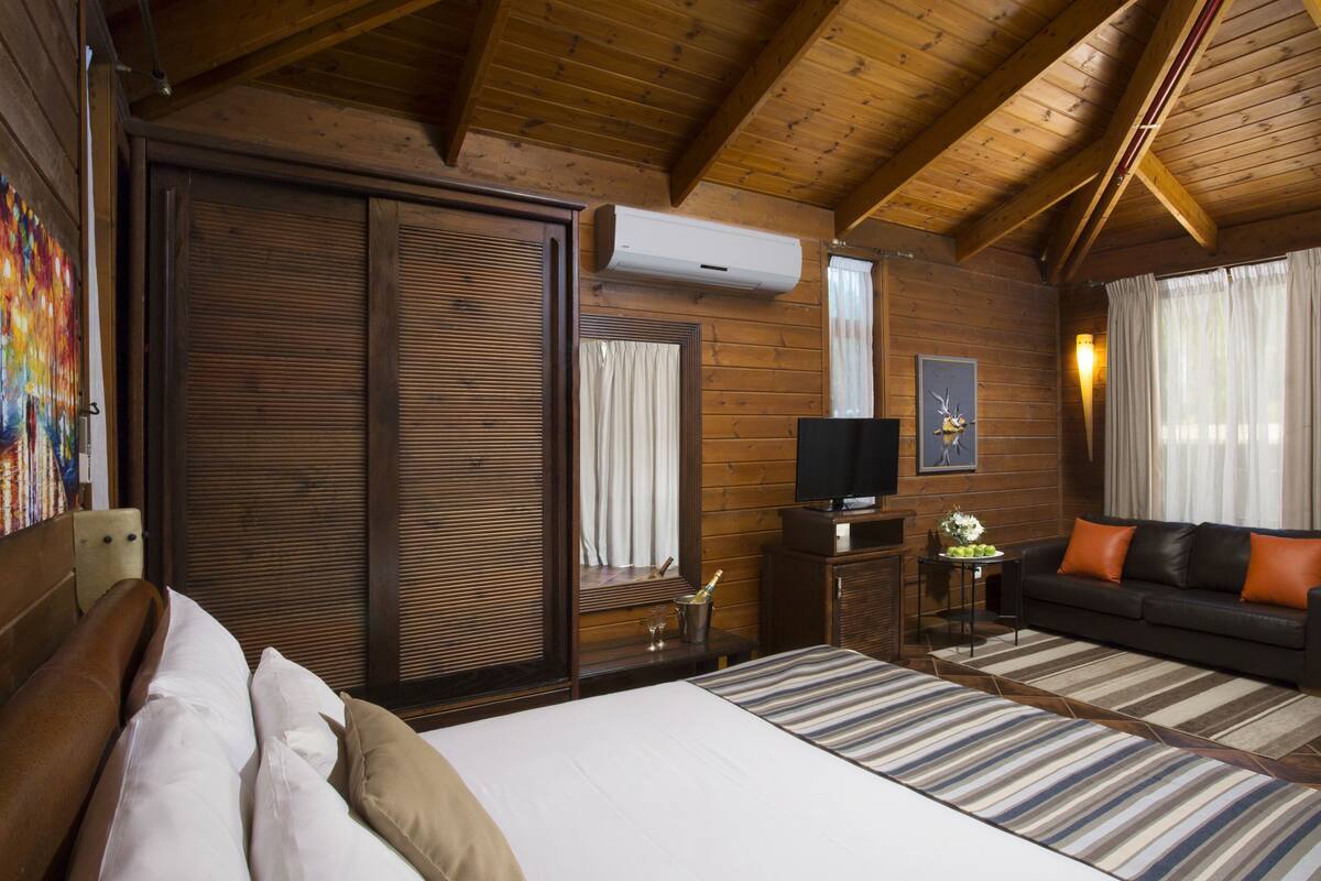 A wooden-paneled room with a bed, a sofa, a television, and a table with a vase.