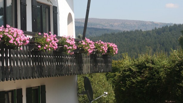 Un edificio con balcón decorado con flores rosadas, fachada blanca y vista a un paisaje boscoso.