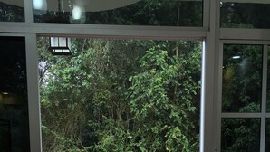 Vue depuis une pièce dont la porte-fenêtre donne sur un balcon doté d’une balustrade incurvée, le tout étant entouré d’un feuillage verdoyant et luxuriant.
