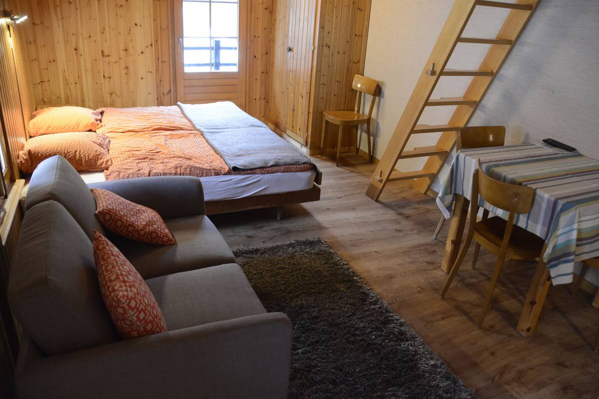 A room with a bed, a sofa, a table, and a chair.