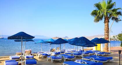 Summer in Garden Suites & Beach Hotel