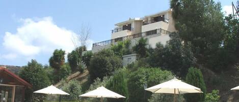 Outdoor pool, pool umbrellas, pool loungers