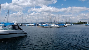 A marina with multiple sailboats docked.