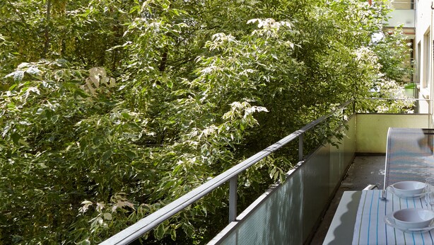 Ein Balkon mit Metallgeländer, einem roten Markisenstoff und dichtem Grünwerk.