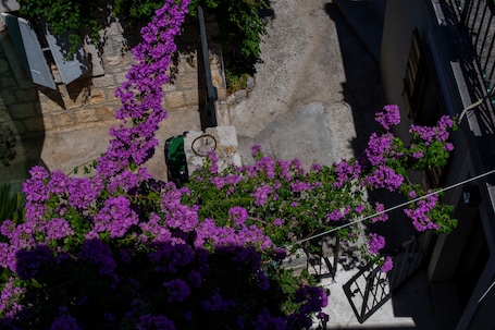 Vista desde la habitación