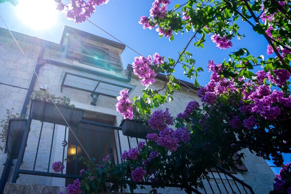 Front of property - Villa Marino (Trogir)