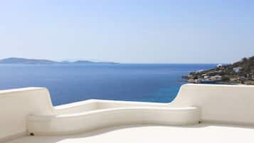 Vista desde la propiedad