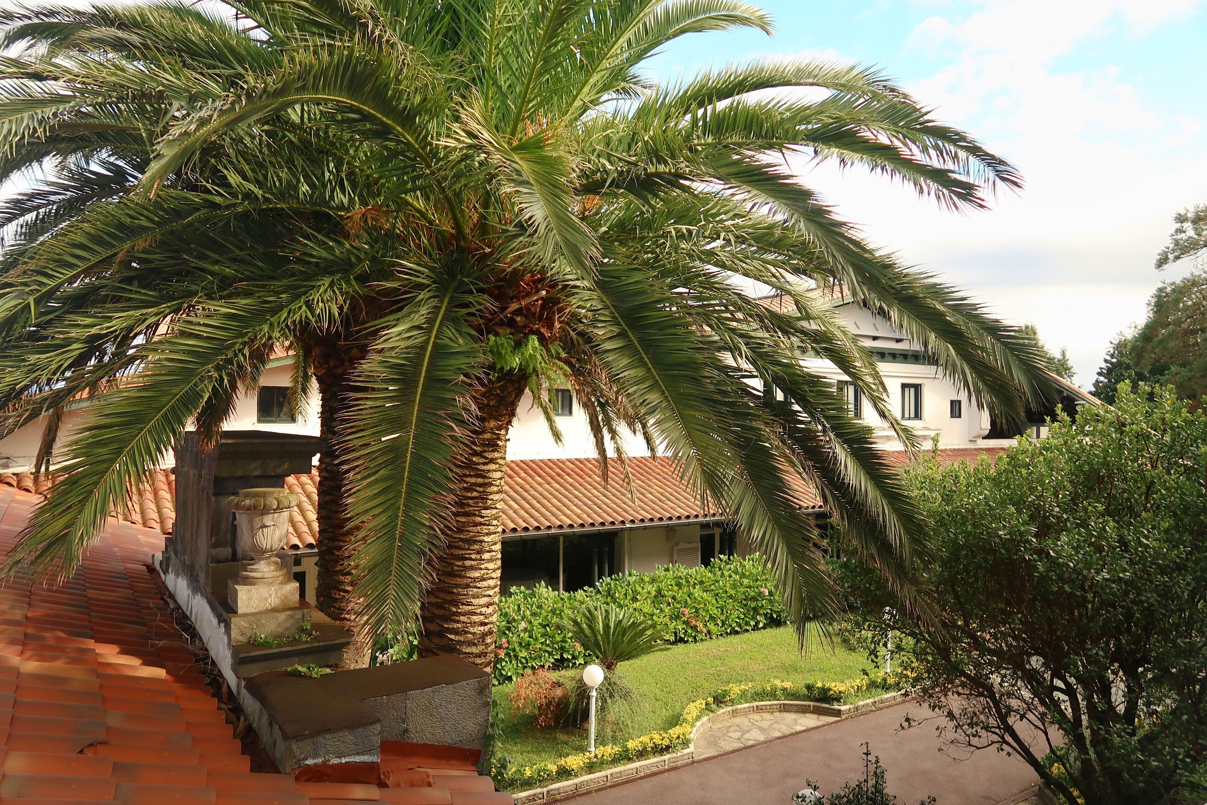 twin room, garden view | view from room