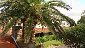 Kahden hengen huone (kaksi sänkyä), näköala puutarhaan | Näkymä huoneesta