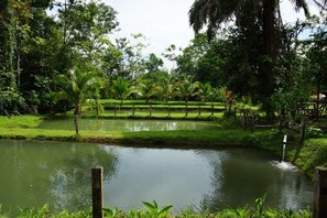 Se sirven desayunos, almuerzos y cenas; cocina regional