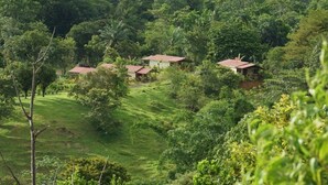 A rural setting with three small buildings surrounded by dense greenery. - Rancho Las Tilapias (Parrita)