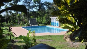 A swimming pool surrounded by greenery, a small structure, and a clear sky. - Rancho Las Tilapias (Parrita)