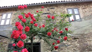 Aussenbereich