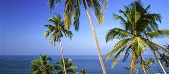 ibis Chennai OMR Hotel