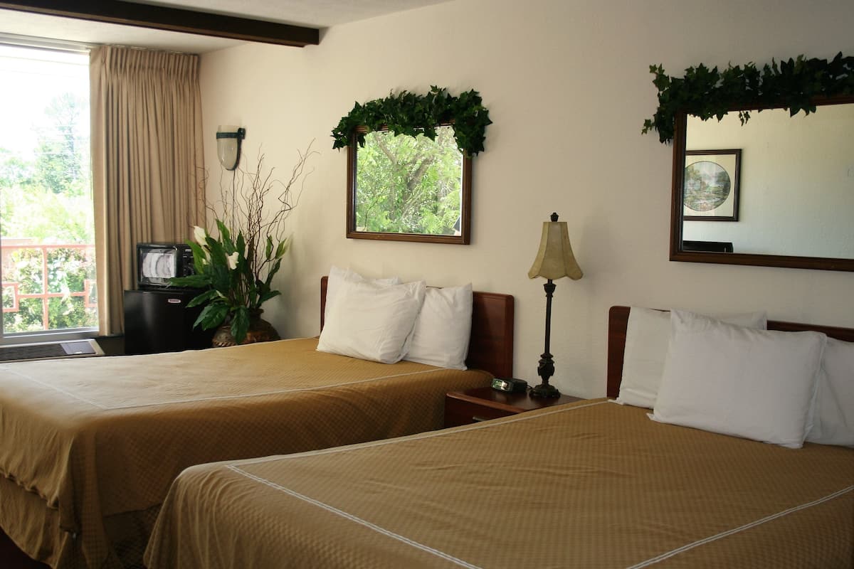 Quarto de hotel com duas camas, uma televisão, uma planta e uma janela com cortinas.