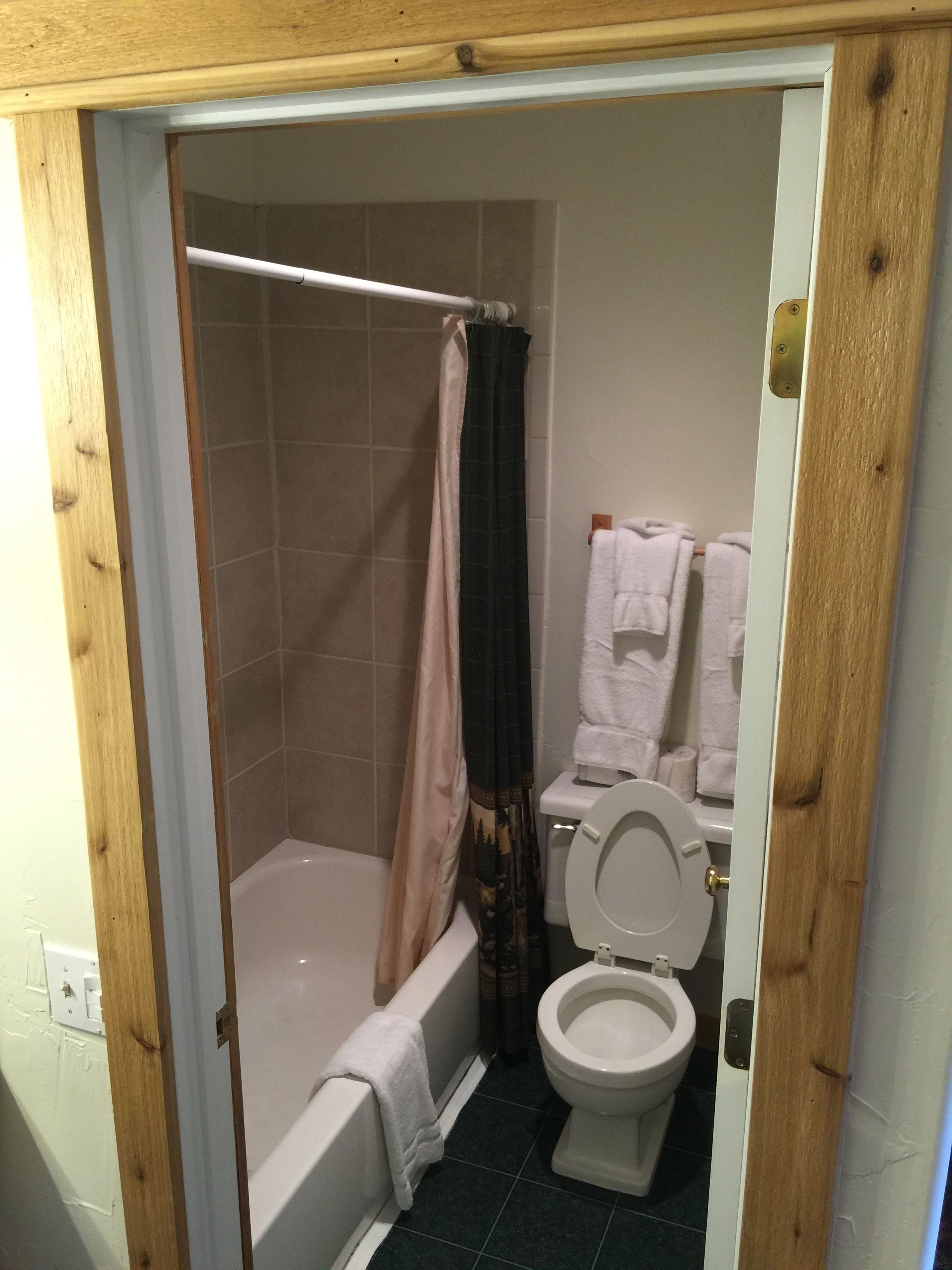 A small bathroom with a shower, toilet, and a bathtub.