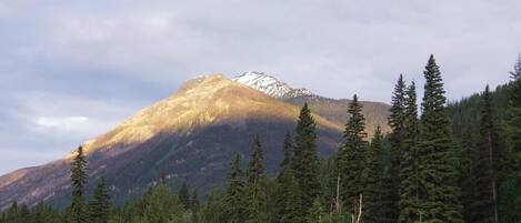 A mountain with a forest in the foreground.