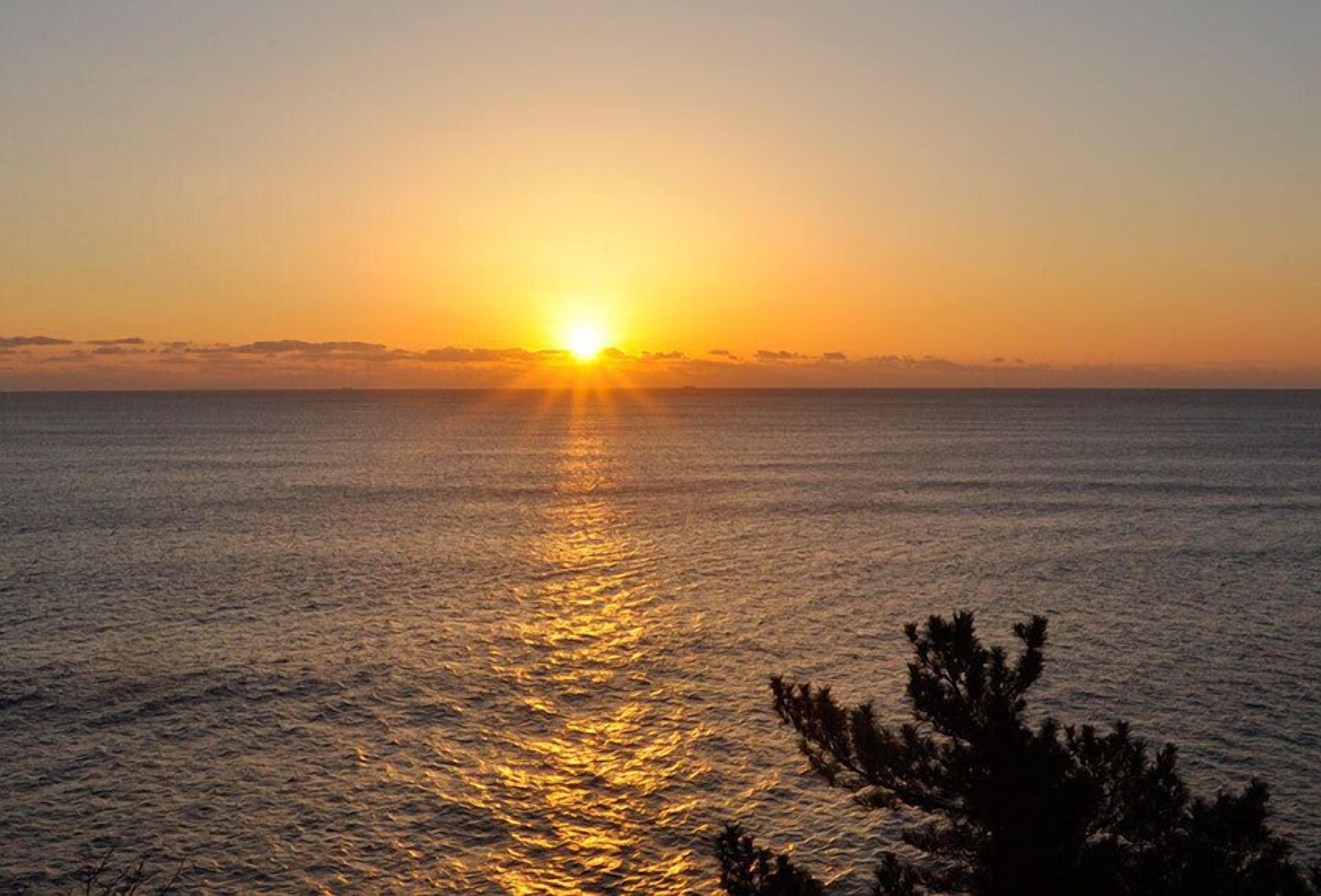 Um pôr do sol sobre um mar tranquilo, com a silhueta de uma árvore em primeiro plano.