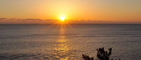 Um pôr do sol sobre um mar tranquilo, com a silhueta de uma árvore em primeiro plano.