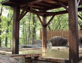 Bañera de hidromasaje exterior