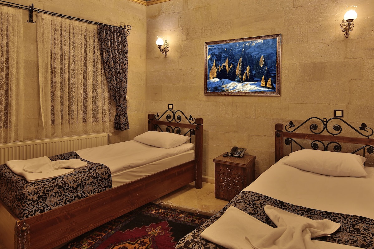 Ein Zimmer mit zwei hölzernen Betten, einem gemusterten Teppich, einem Gemälde einer verschneiten Landschaft und einer Heizung.