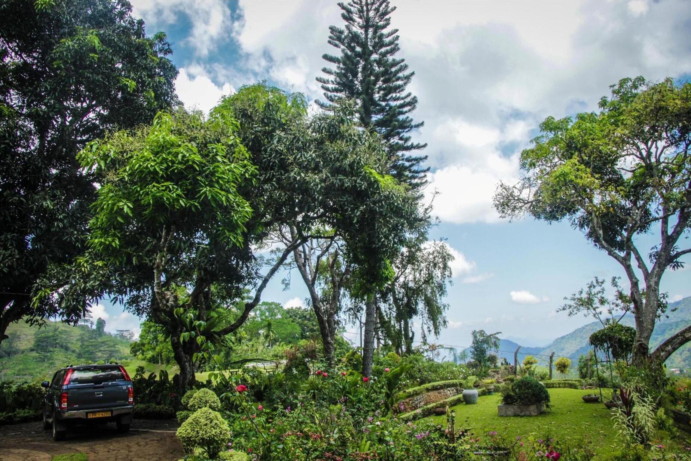 Un jardin luxuriant, avec une grande variété d’arbres et de plantes, une voiture garée et un ciel dégagé.