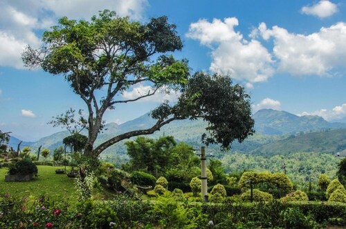 Ancoombra Tea Estate Bungalow