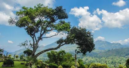 Ancoombra Tea Estate Bungalow