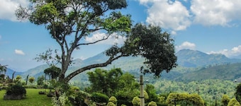 Ancoombra Tea Estate Bungalow