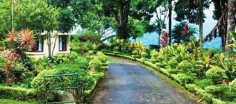Ancoombra Tea Estate Bungalow