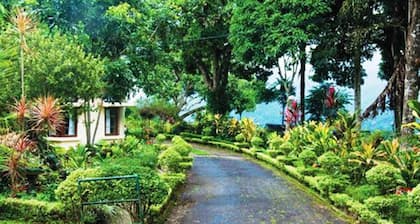 Ancoombra Tea Estate Bungalow