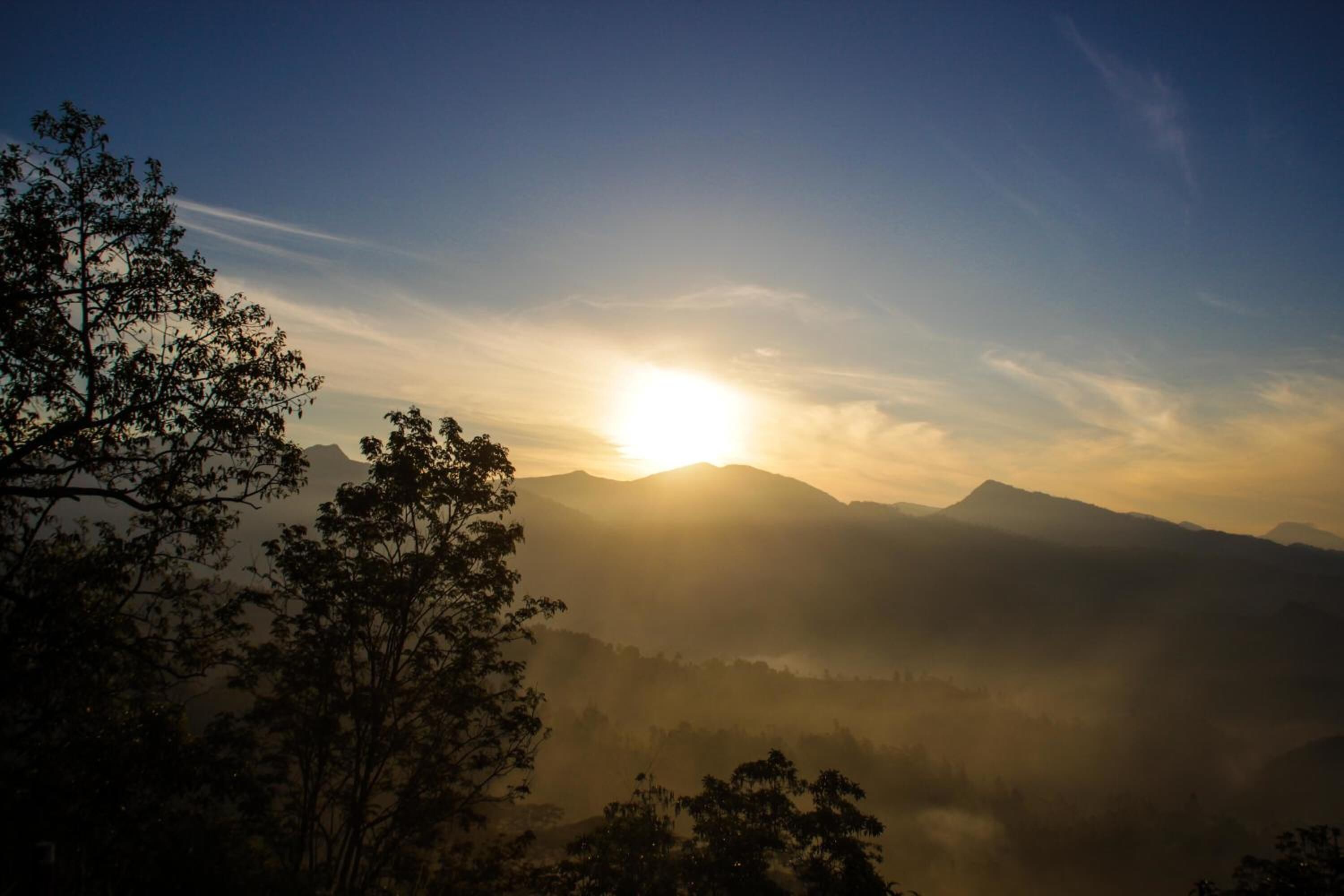 Un amanecer sobre un paisaje montañoso con árboles en primer plano.