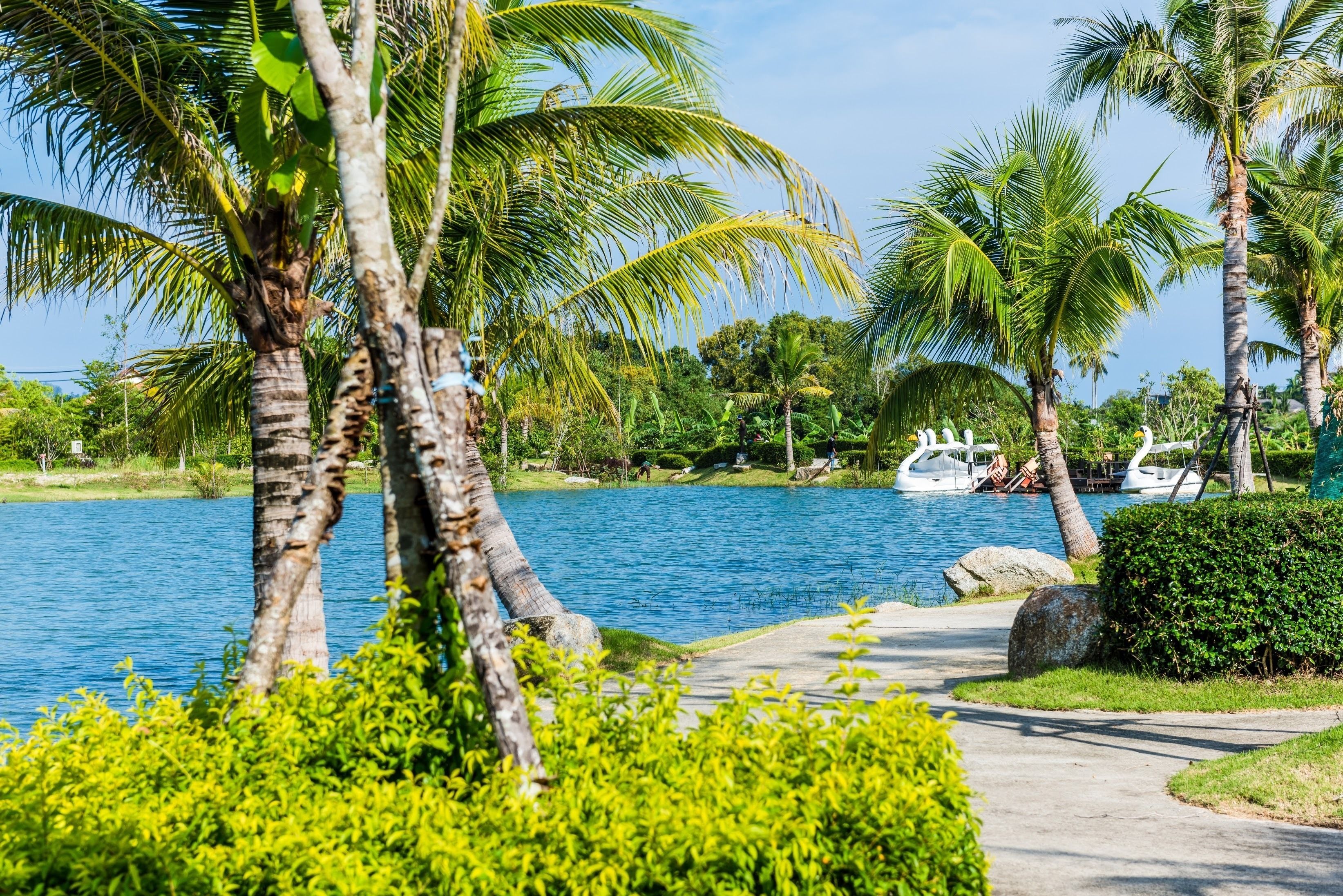 Photo - Chalong Miracle Lakeview