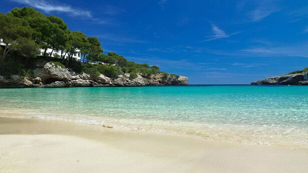 A beach with clear turquoise water, sandy shore, and rocky cliffs with trees.