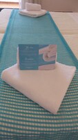 Minibar, tabla de planchar con plancha, wifi gratis y ropa de cama 