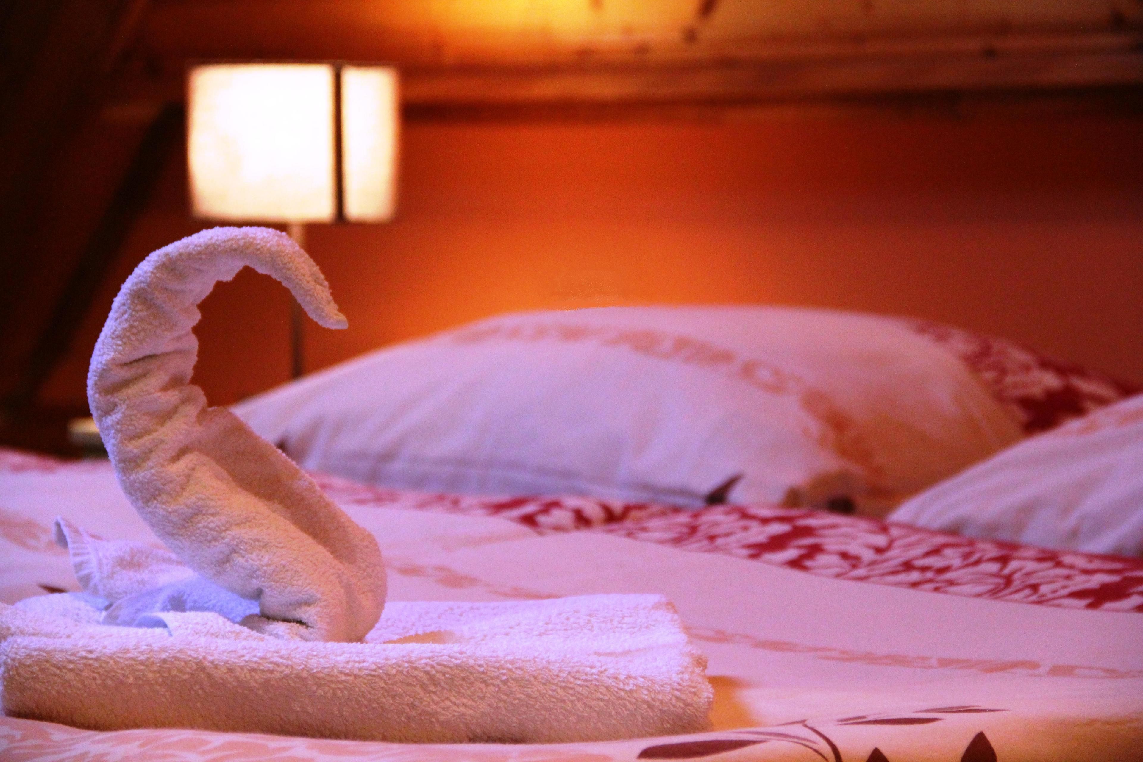 Double or Twin Room | Desk, rollaway beds, free WiFi