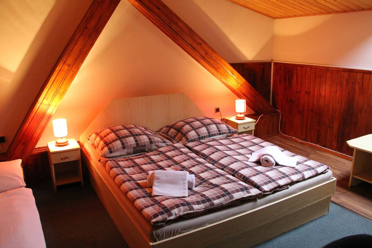 Habitación con 1 cama doble o 2 individuales | Escritorio, camas supletorias, wifi gratis