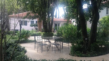 Dinner served, Italian cuisine