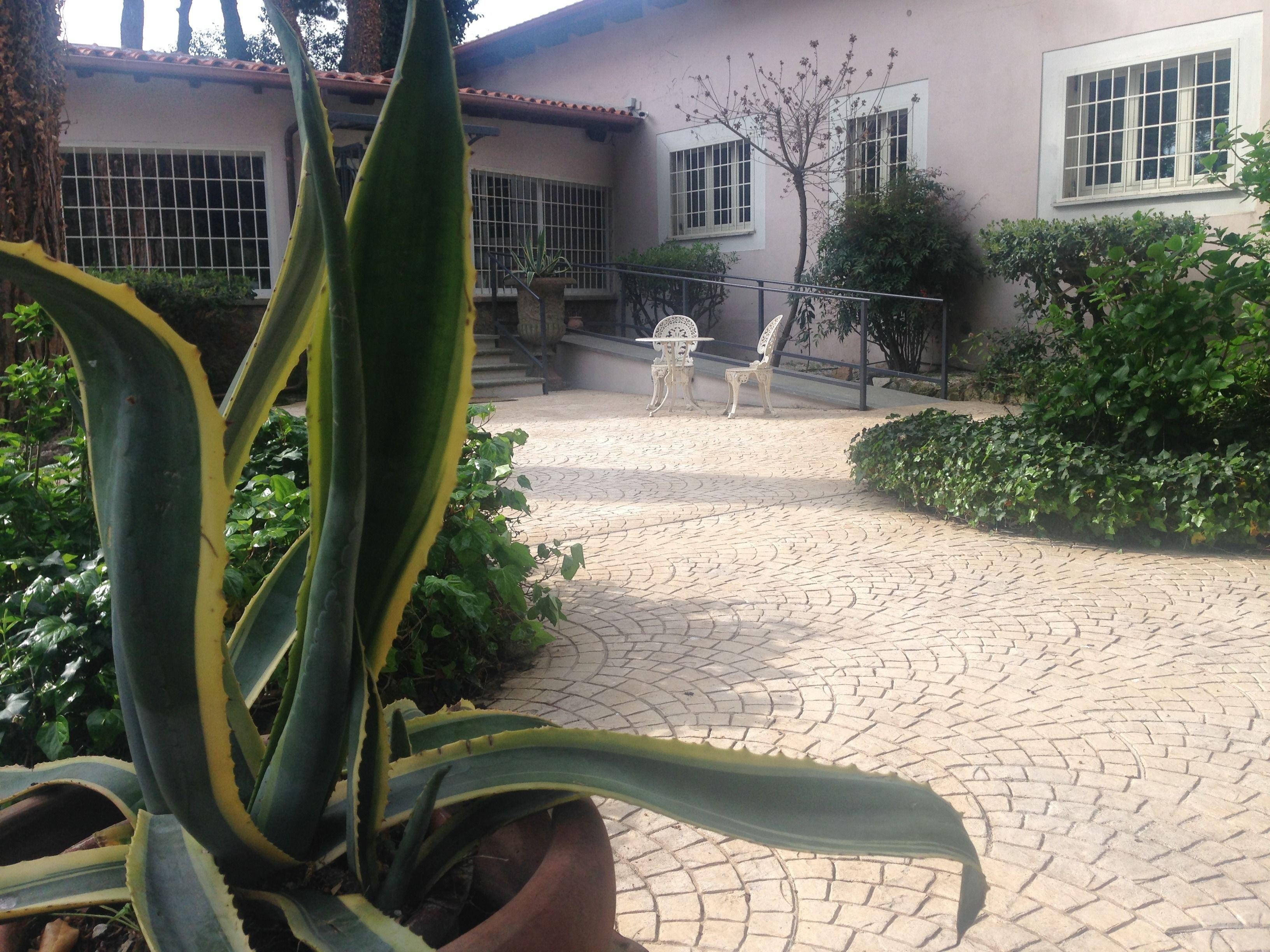 Un patio empedrado con una planta en maceta, una escalera y un edificio con ventanas de celosía.