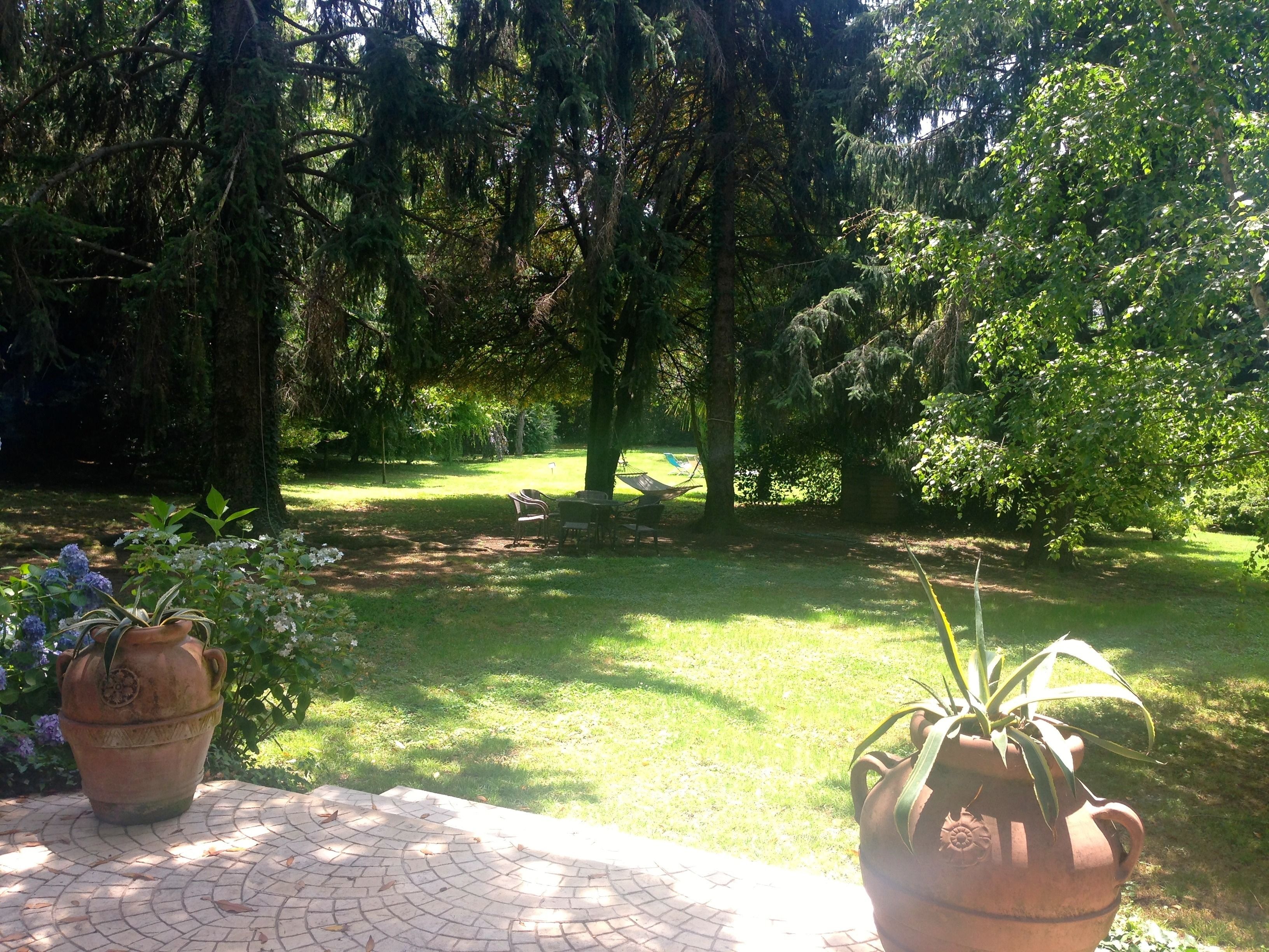 A garden with a paved area, potted plants, and outdoor furniture.