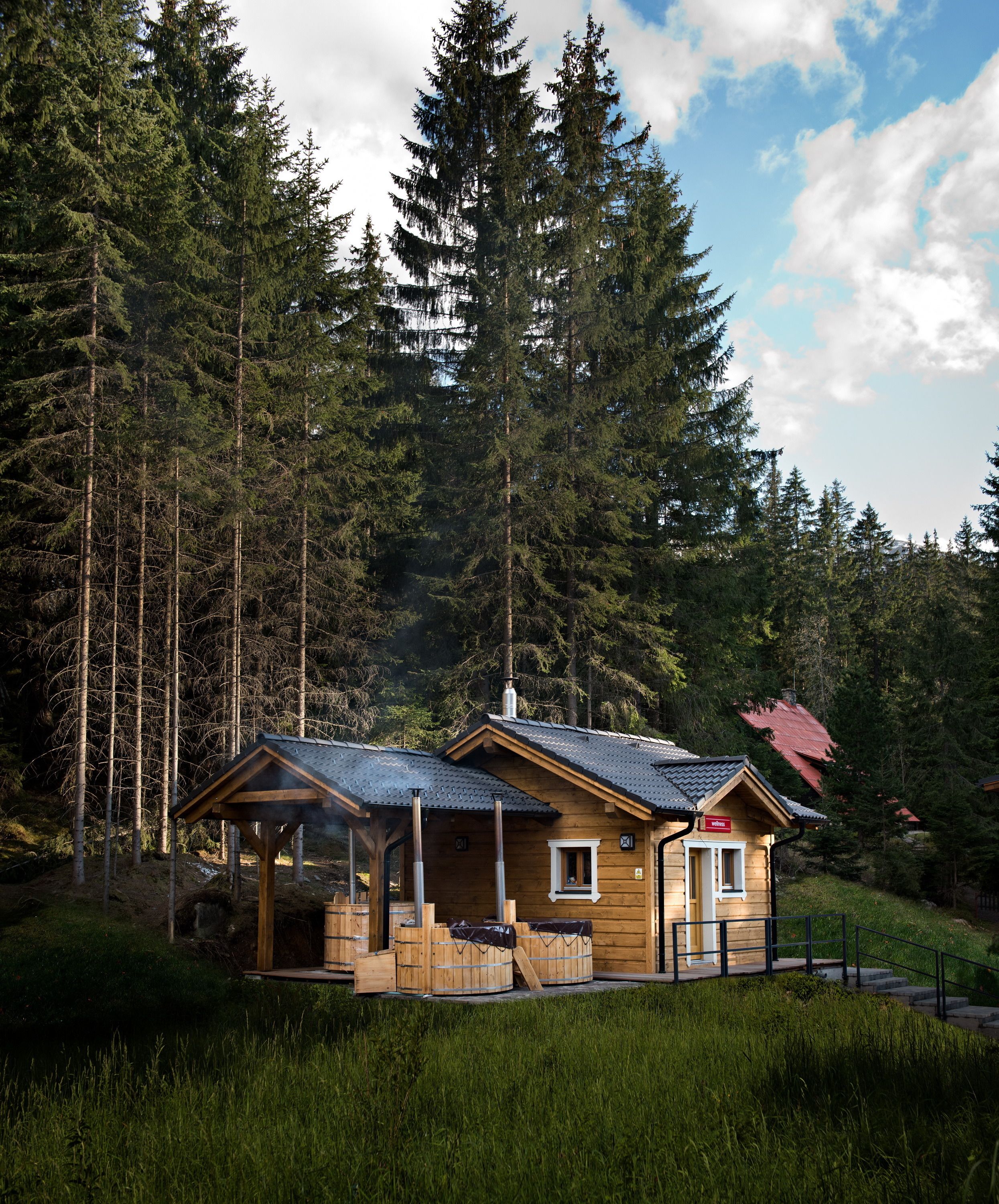 Couples treatment room(s), sauna
