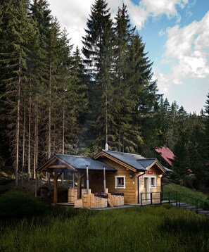 Espace de soins pour les couples, sauna