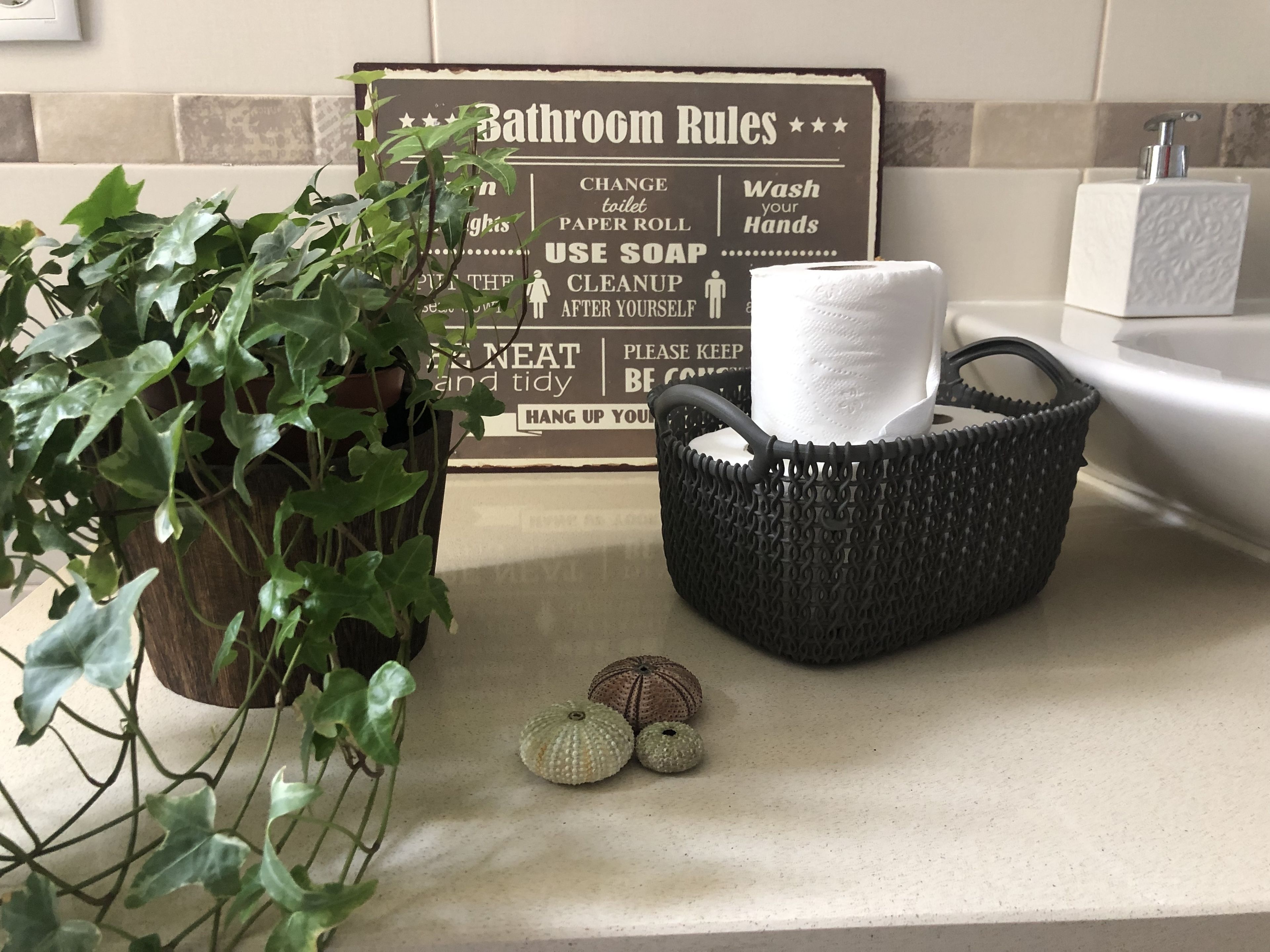 A bathroom counter with a sign listing bathroom rules, a potted plant, a basket with a towel, and two decorative shells.