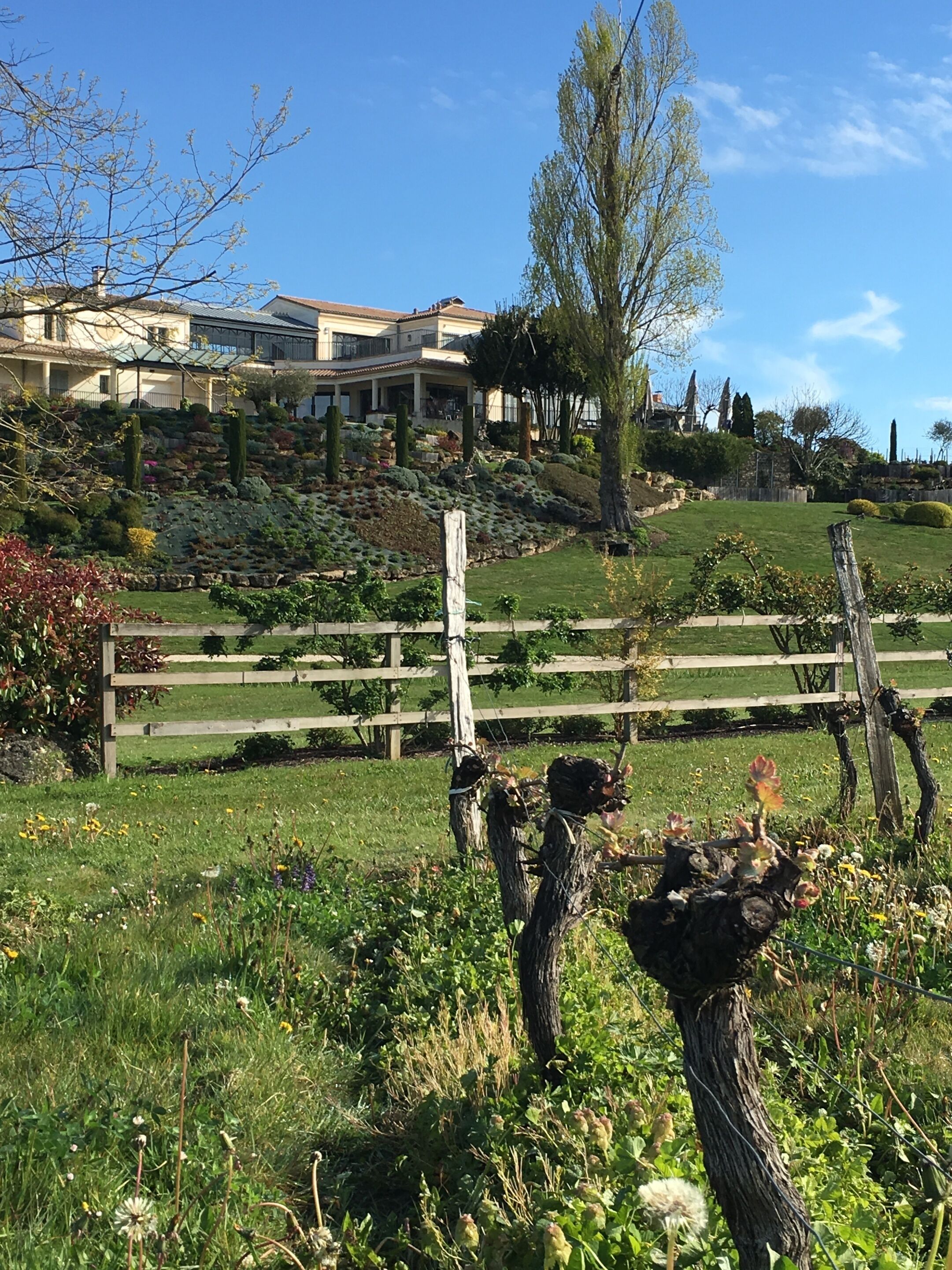 A landscaped garden with a wooden fence, a variety of plants, and a building in the background.