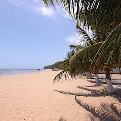 En la playa, arena blanca, sillas reclinables de playa, sombrillas
