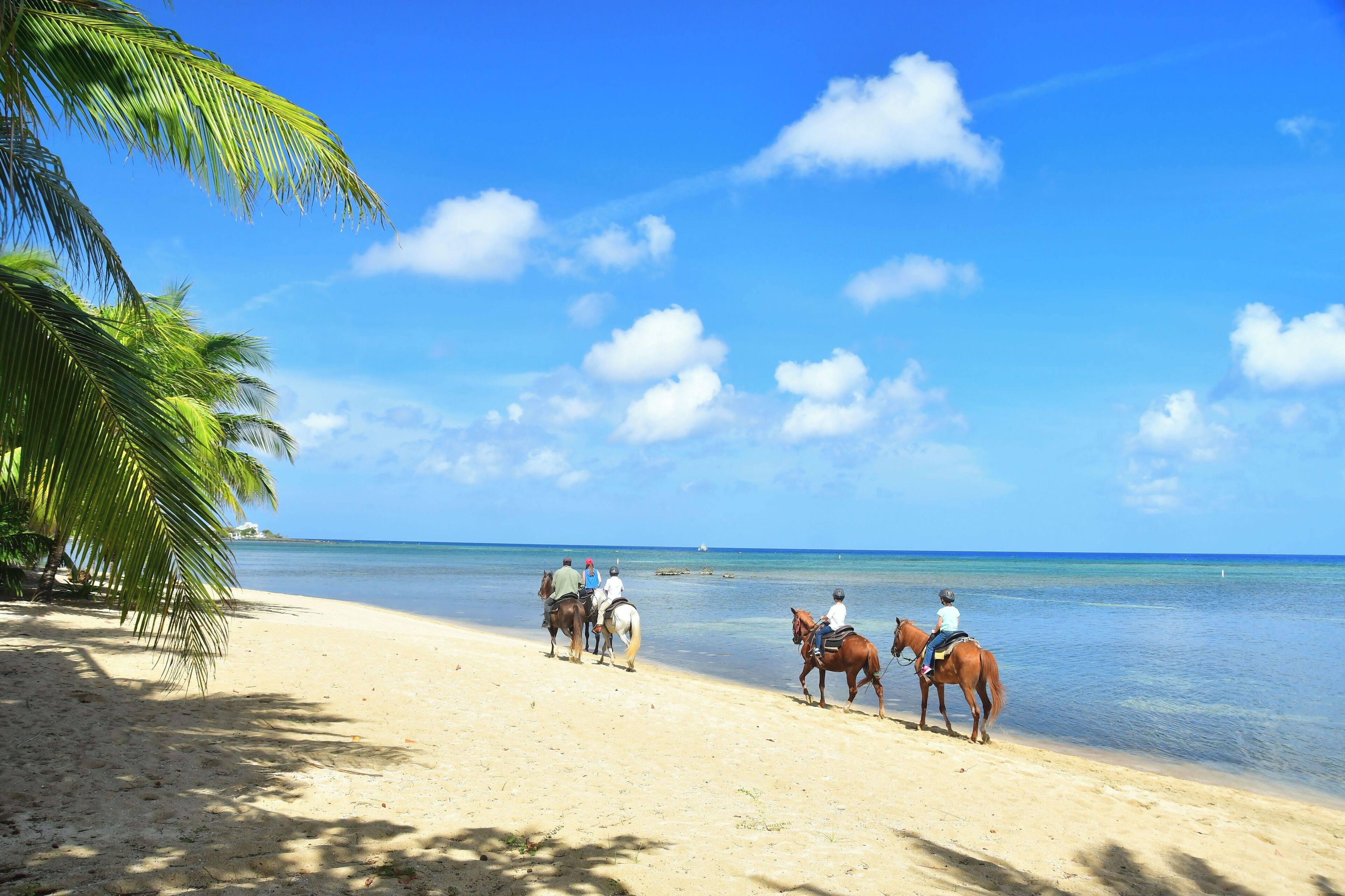 Reiten