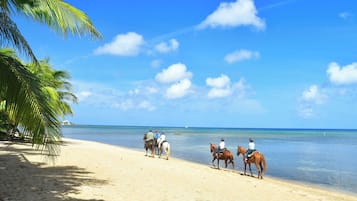 Reiten